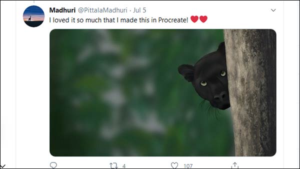 Black Panther in Karnatakas kabini forest; photos goes viral Black Panther in Karnatakas kabini forest; photos goes viral