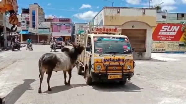 லாக்டவுன் காரணமாக