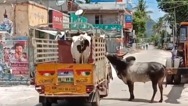 எவ்வளவு தூரம்