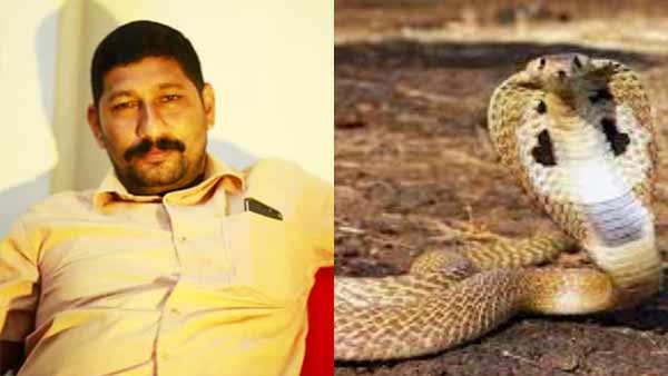 கொரோனா தனிமையில் குழந்தையை கடித்த விஷப்பாம்பு... போராடி உயிரைக்காப்பாற்றிய ஜினில் மேத்யூ 