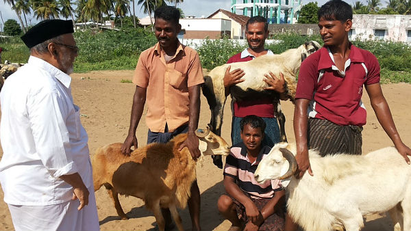 விற்பனை மந்தம்