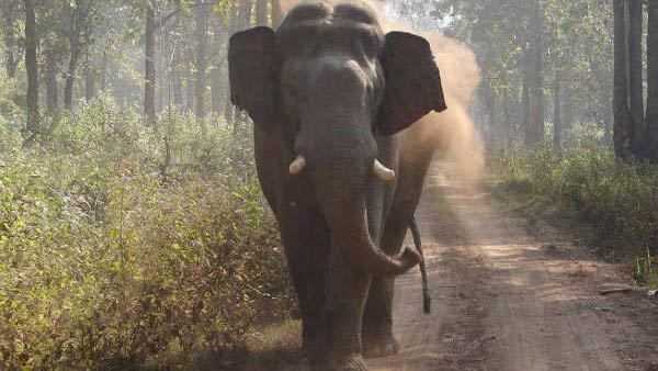 சேம்பிள்கள்