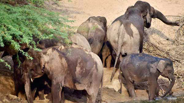 என்ன காரணம்
