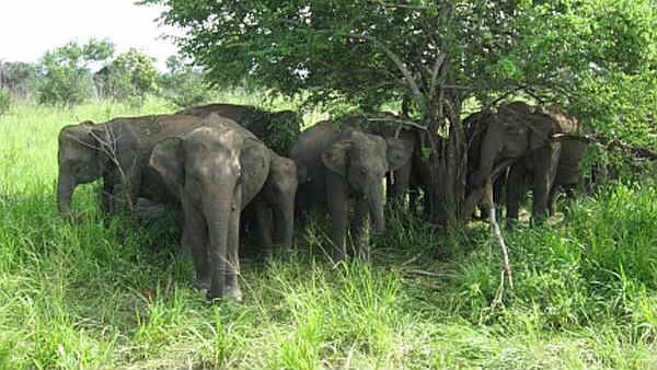 எங்கே நடந்துள்ளது