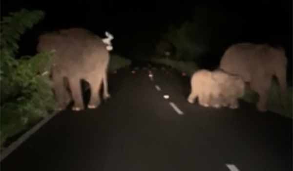வாகனங்கள் நிறுத்தம்