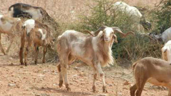 பராமரிப்பு செலவு போக