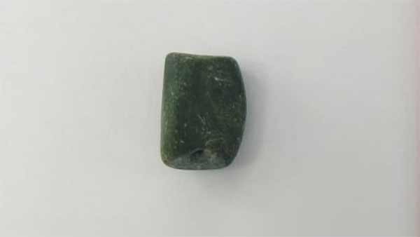 Lengthy green algae were found in the Tamilnadus Akaram excavation Lengthy green algae were found in the Tamilnadus Akaram excavation