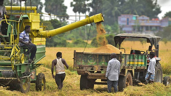 குவிண்டால் ஒன்றுக்கு
