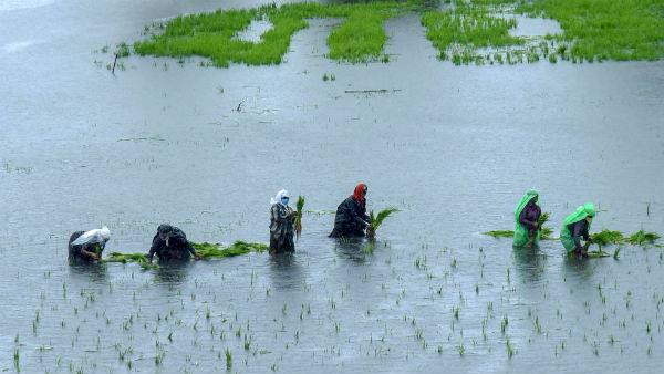 கேரளா எங்கே