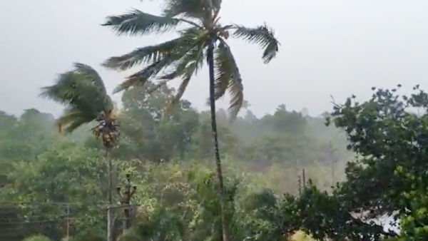 சார்வரியில் மழை வெள்ளம்