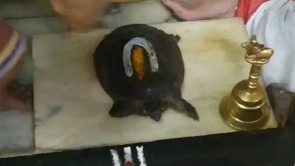 கருவறை