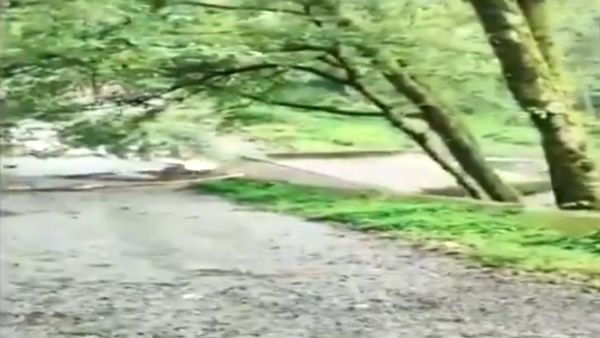Heavy rain in Uttarakhand: A Bridge collapsed in the flood today Heavy rain in Uttarakhand: A Bridge collapsed in the flood today