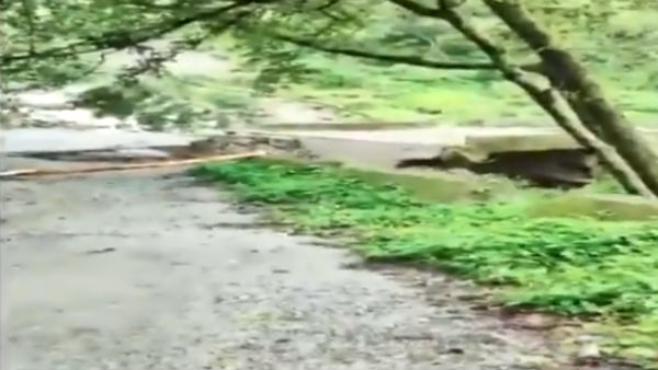 Heavy rain in Uttarakhand: A Bridge collapsed in the flood today Heavy rain in Uttarakhand: A Bridge collapsed in the flood today