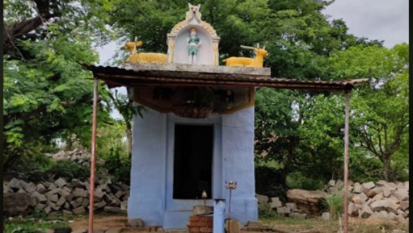 வெடியோசைக்கு விடை இல்லை