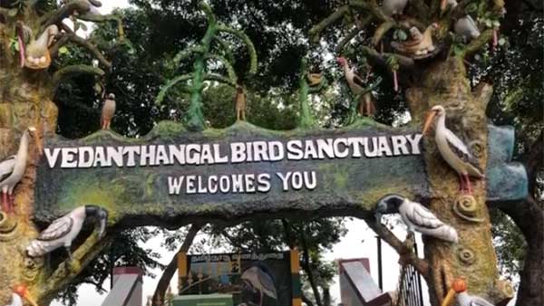 பழமையானது