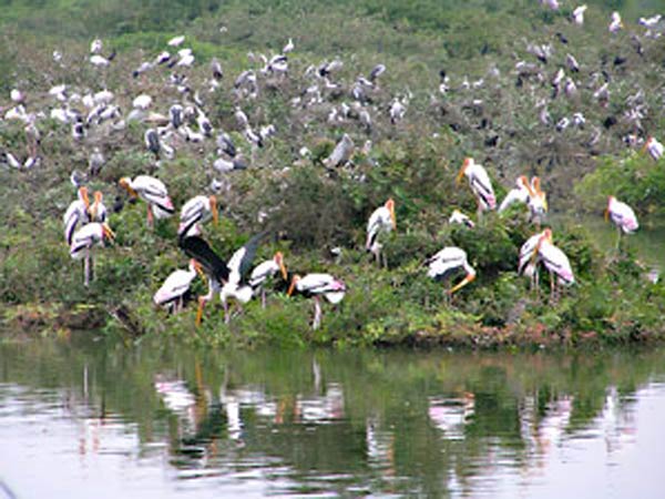 வழக்கு முடித்து வைப்பு