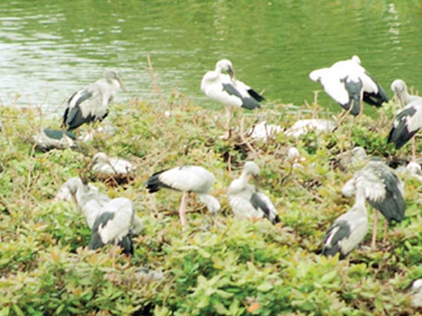 தனியார் மருந்து நிறுவனம்