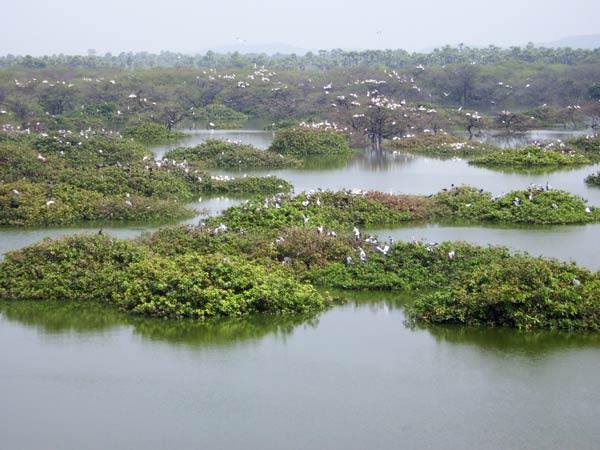 பரப்பளவு குறைப்பு