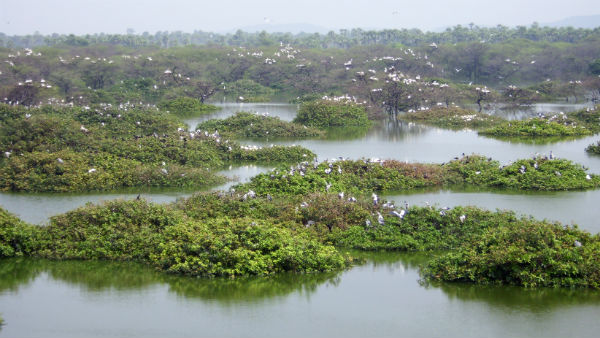சொந்த செலவு