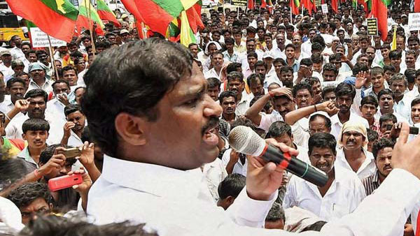முக்கியப் பயிர்
