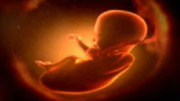 himachal pradesh man killed newborn daughter himachal pradesh man killed newborn daughter