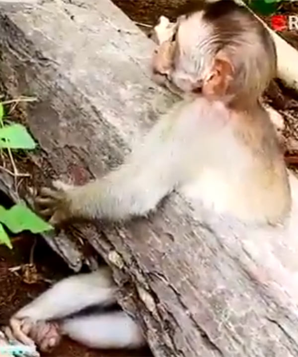வாயை வைத்து கவ்வி