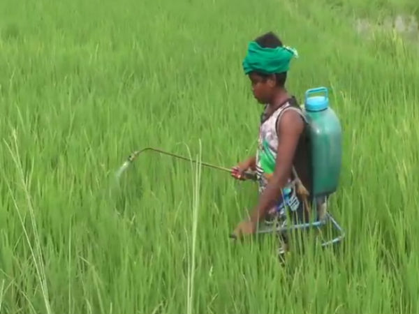 விவசாயம்
