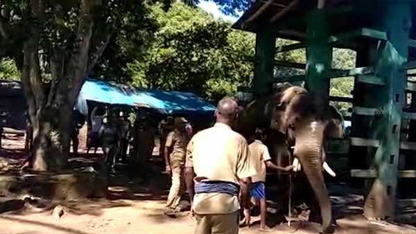 ஆனைமலை புலிகள் சரணாலயம்