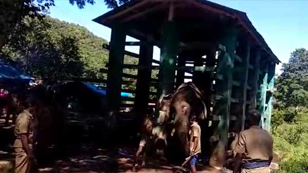 கண்காணிப்பு