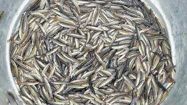 3 ஆண்டுகளில் நிலைமை மாற்றம்