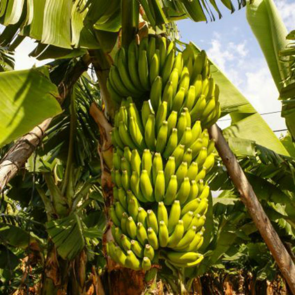 விவசாயிகள் கவலை