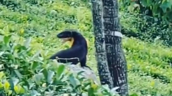 என்ன விவாதம்