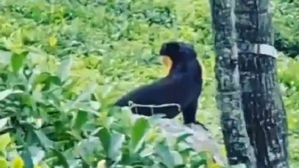 என்ன சந்தேகம்