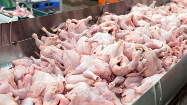 Chicken wings imported from Brazil tested for coronavirus positive says China Chicken wings imported from Brazil tested for coronavirus positive says China