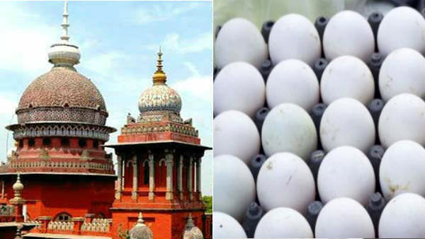 Mid day meal case: Make sure to give nutritious eggs to poor students High Court order to TN Mid day meal case: Make sure to give nutritious eggs to poor students High Court order to TN