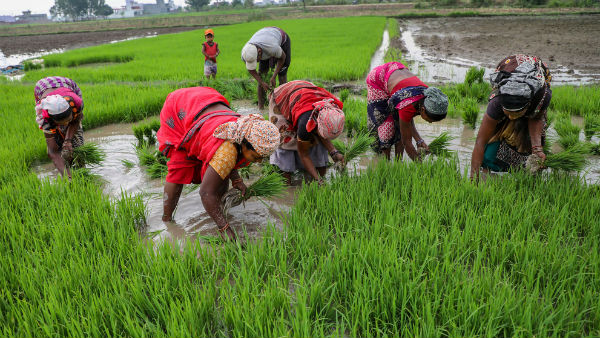 102 அடி நீர் தேக்க முடியும்