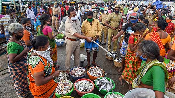 People throng Kasimedu fish market in Chennai as Sunday will be full lockdown People throng Kasimedu fish market in Chennai as Sunday will be full lockdown