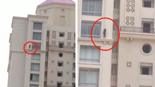 Chennai girl roams in the 23rd floor Chennai girl roams in the 23rd floor
