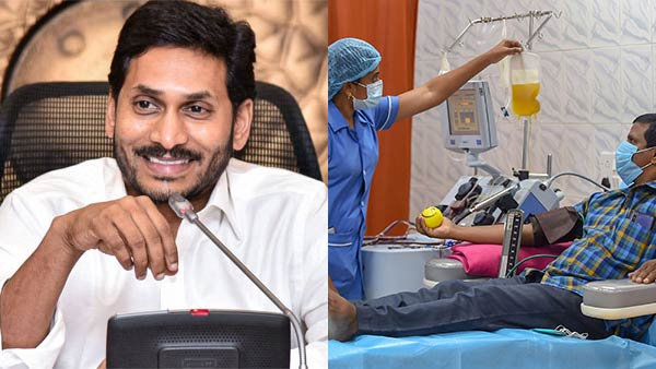 Andhra Pradesh: Plasma donars will get Rs 5,000, says Chief Minister YS Jagan Mohan Reddy Andhra Pradesh: Plasma donars will get Rs 5,000, says Chief Minister YS Jagan Mohan Reddy