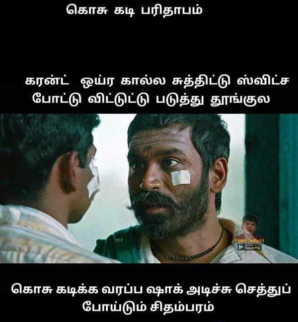 Viral Memes Collection on World Mosquito Day Viral Memes Collection on World Mosquito Day