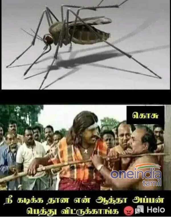 Viral Memes Collection on World Mosquito Day Viral Memes Collection on World Mosquito Day
