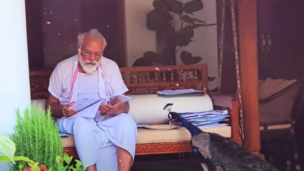 PM Modi with peacock sparks row in Bihar Lalu politics PM Modi with peacock sparks row in Bihar Lalu politics
