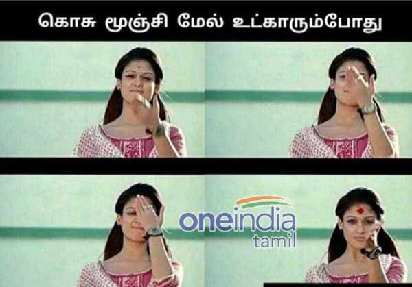 Viral Memes on World Mosquito Day Viral Memes on World Mosquito Day