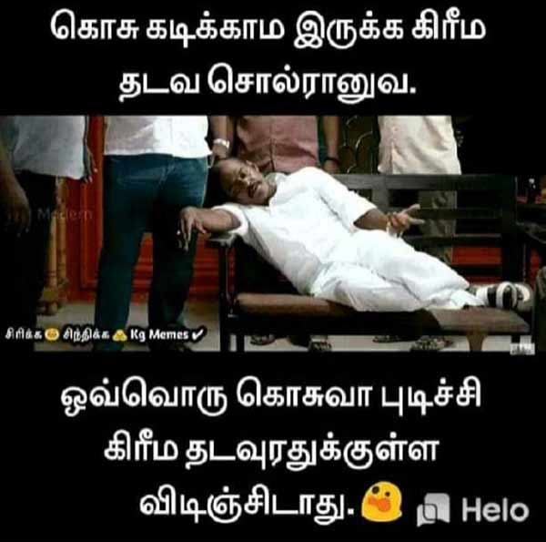 Viral Memes on World Mosquito Day Viral Memes on World Mosquito Day