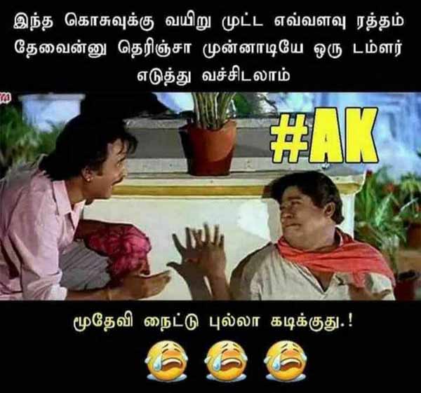 Viral Memes on World Mosquito Day Viral Memes on World Mosquito Day