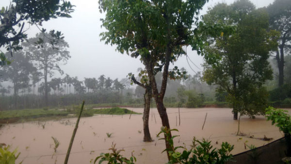 தென்மேற்கு பருவமழை