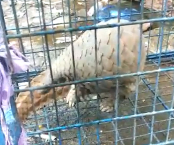 மீட்டு கொண்டு சென்றனர்