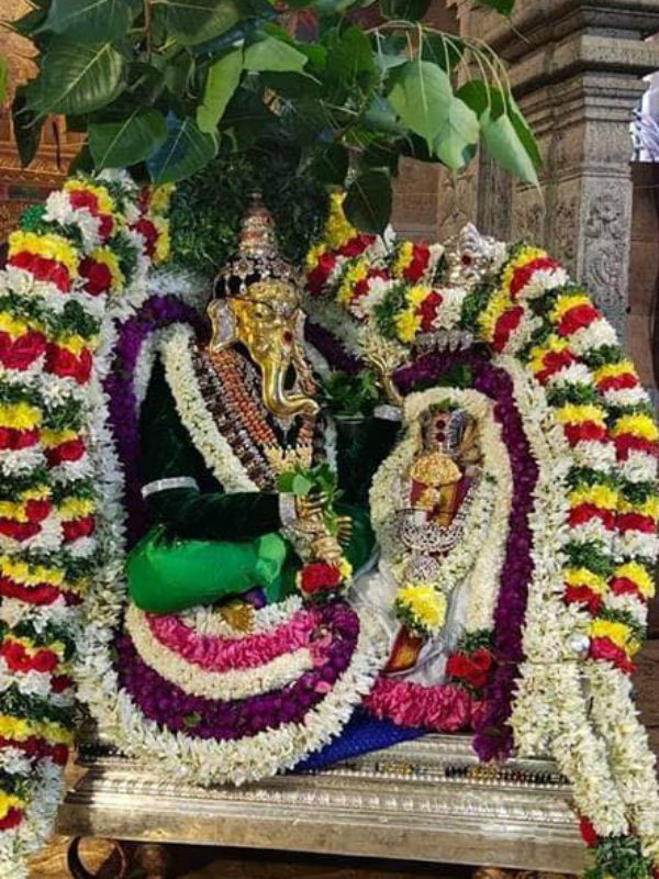 Pillayarpatti Karphaga Vinayaka temple Vinayagar Chathurthi festival Soorasamharam Pillayarpatti Karphaga Vinayaka temple Vinayagar Chathurthi festival Soorasamharam