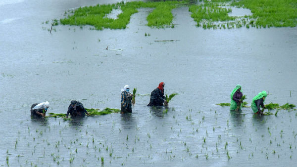 காவிரி