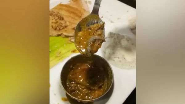 Delhi man finds lizard in Sambar in Saravana Bhavan hotel Delhi man finds lizard in Sambar in Saravana Bhavan hotel